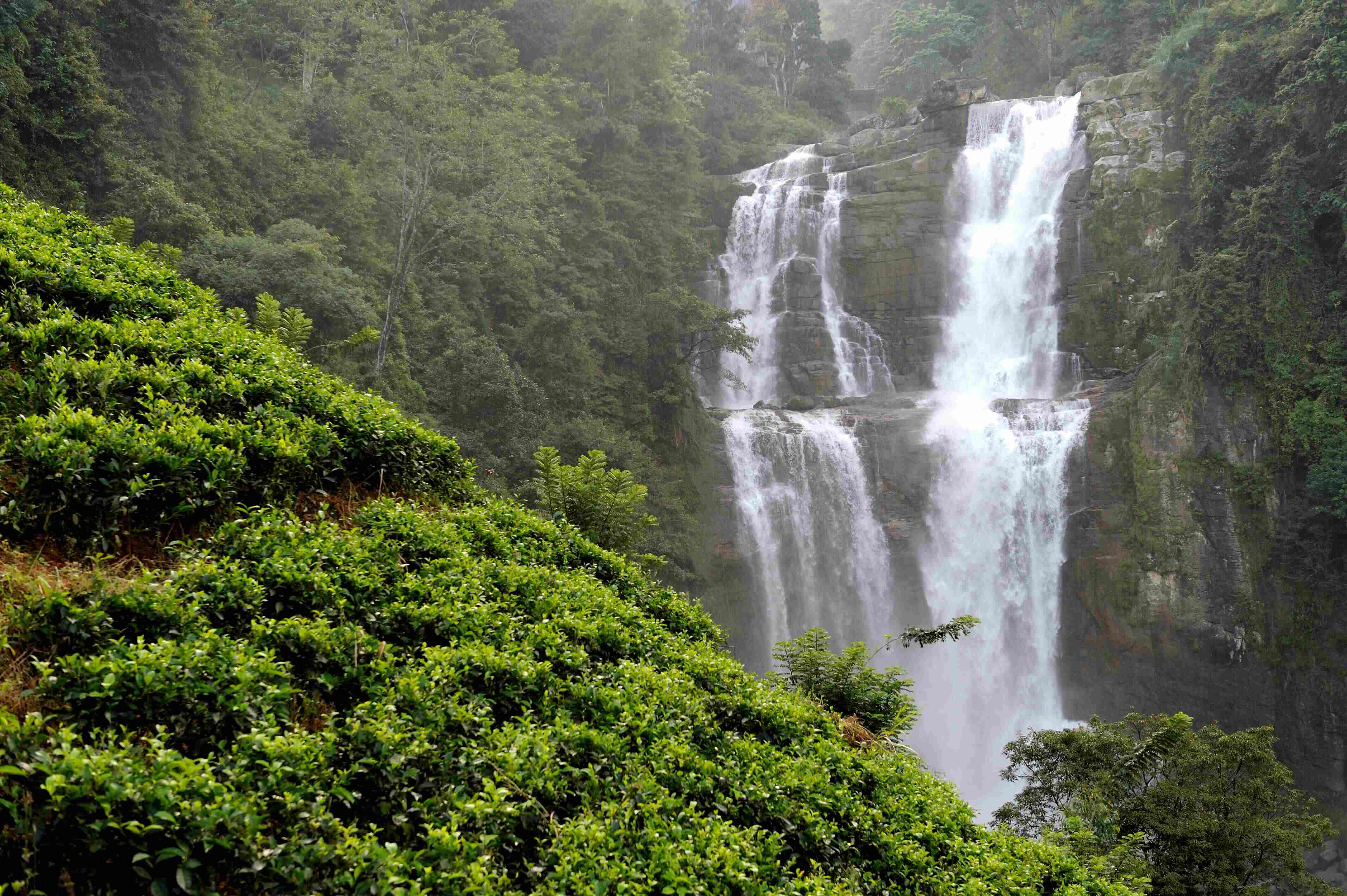 Thekkady